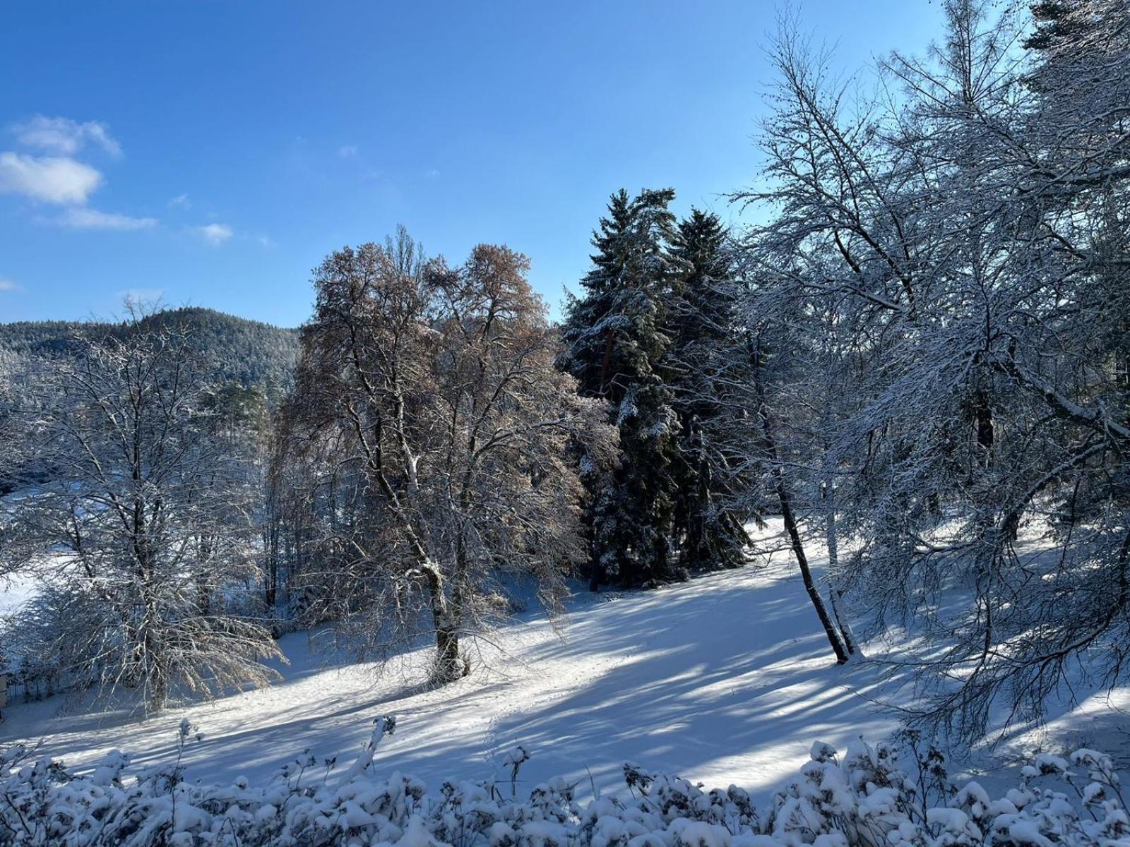 Pension U Golfu Cihelny Karlovy Vary Exterior photo