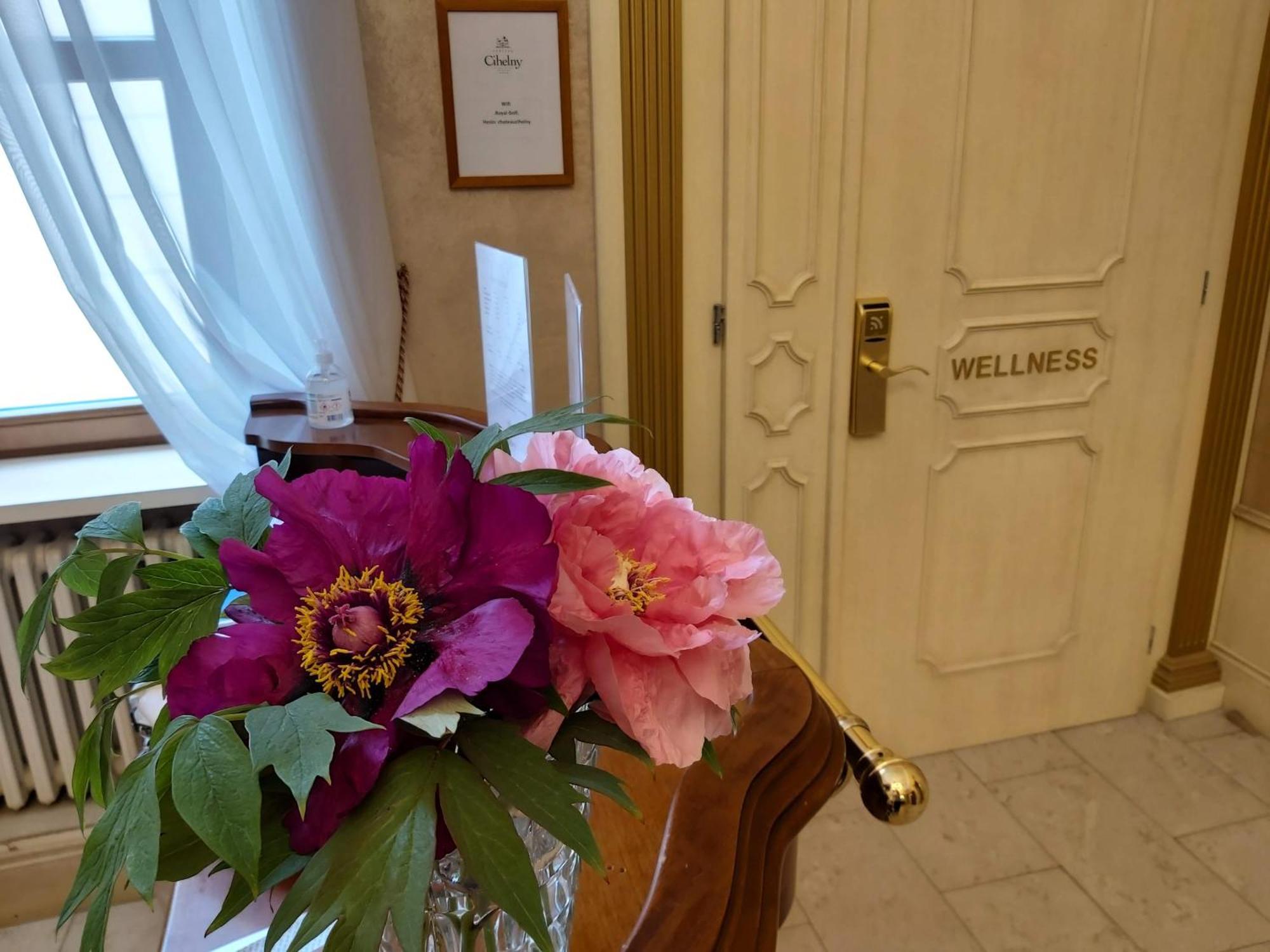 Pension U Golfu Cihelny Karlovy Vary Exterior photo